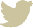 twitter-icon